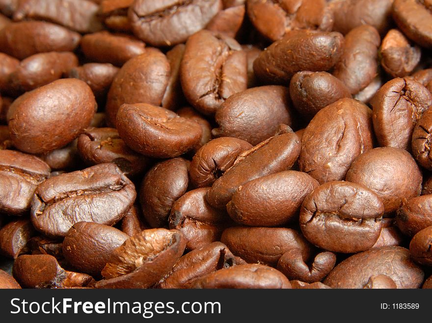 Sample of Freshly Roasted Coffee Beans