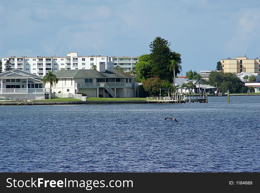 Pelican Swooping for food in the Gulf Bay beside Boca Ceiga Millinum Park, Seminole Florida. Pelican Swooping for food in the Gulf Bay beside Boca Ceiga Millinum Park, Seminole Florida