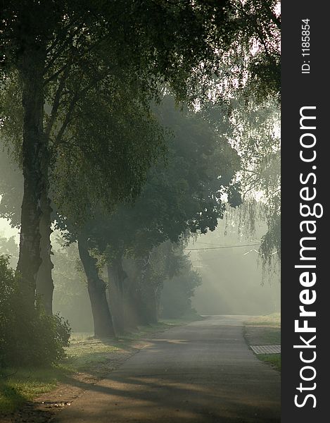 Misty fogy morning on countryside. Misty fogy morning on countryside