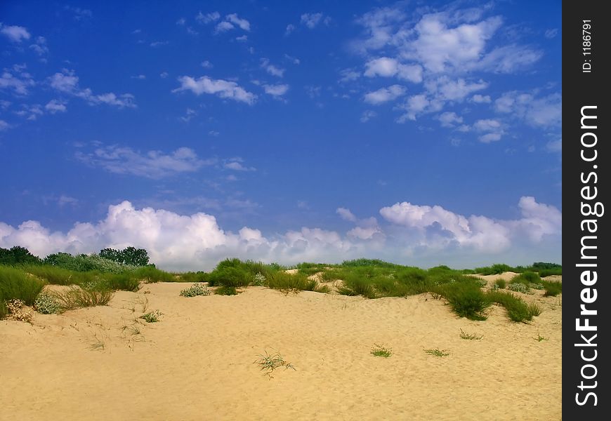 Beautiful sandy beach