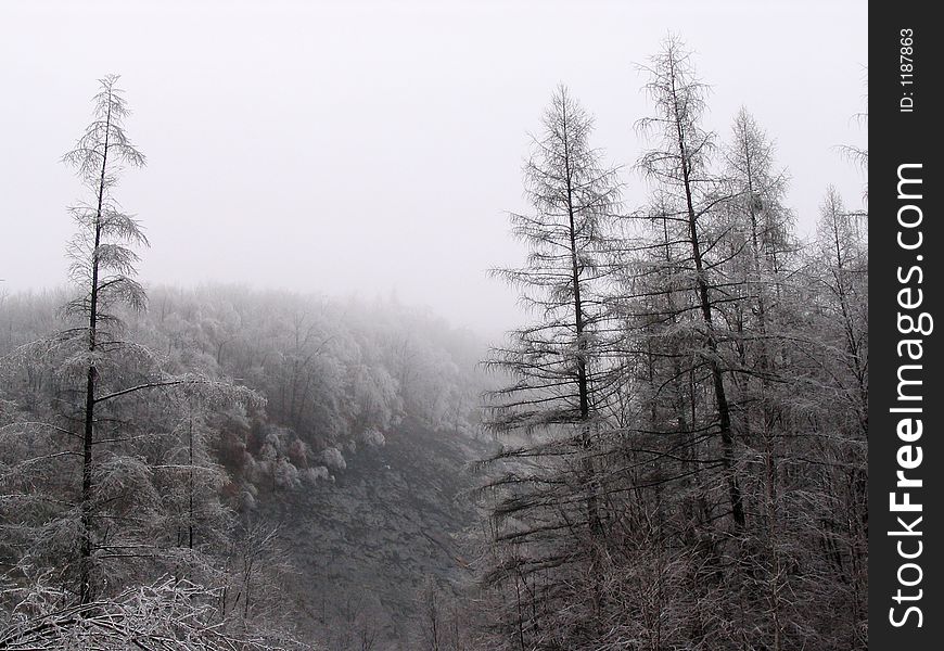 A January ice storm freezes the landscape, while fog rolls down upon a slate bank hillside. A January ice storm freezes the landscape, while fog rolls down upon a slate bank hillside.