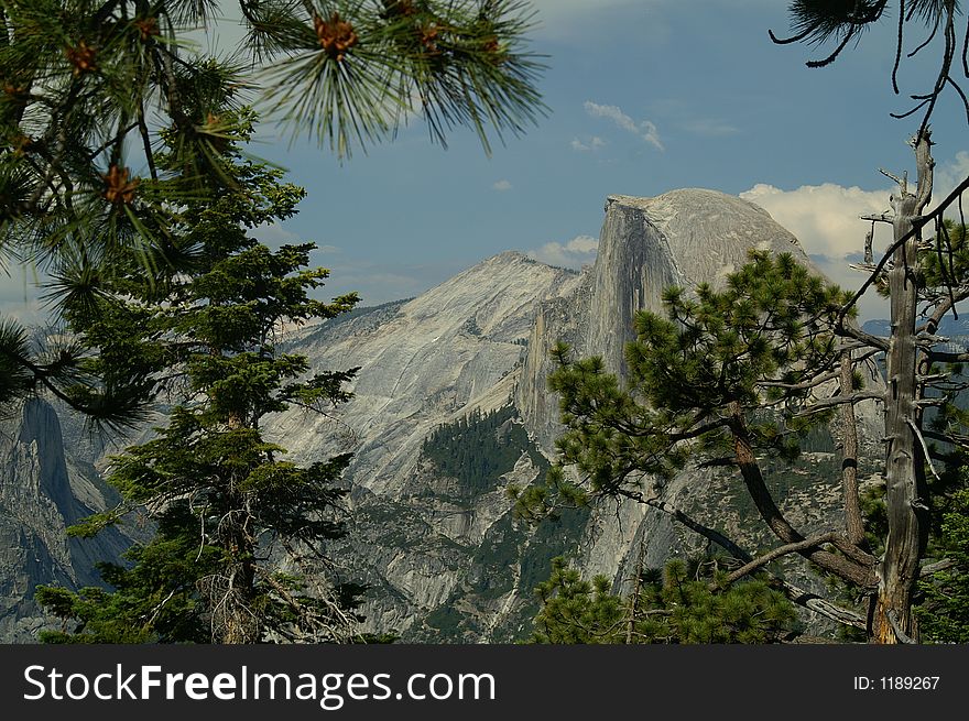 Half Dome through the Trees