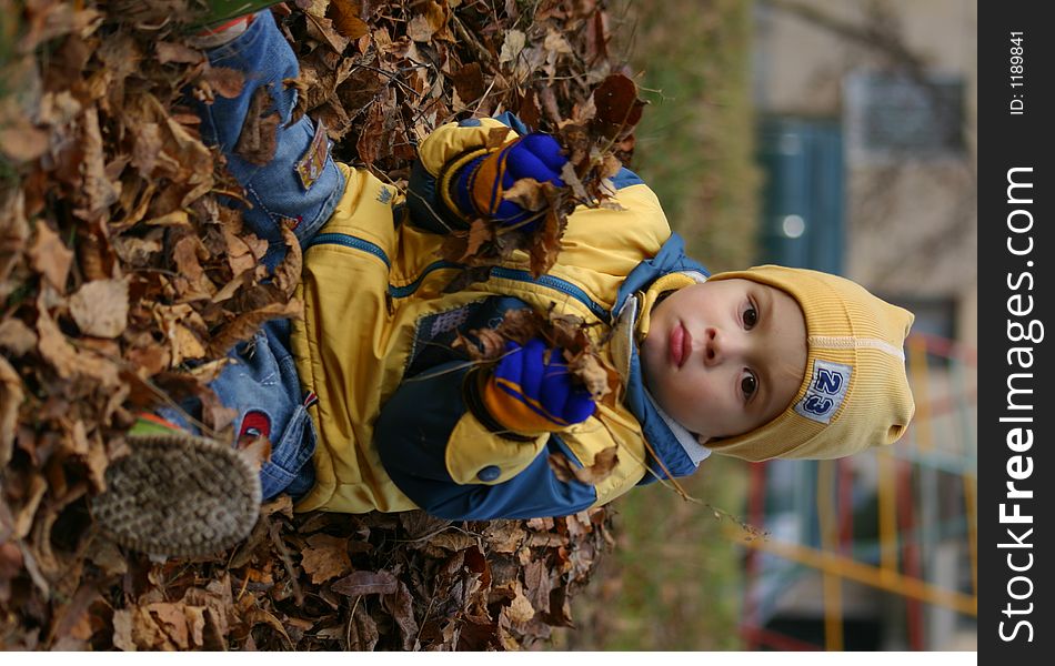 The boy is removed in the autumn among fallen down leaves