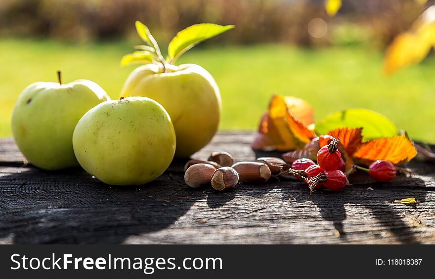 Fresh garden apples and nuts on an old stump. Fresh garden apples and nuts on an old stump.