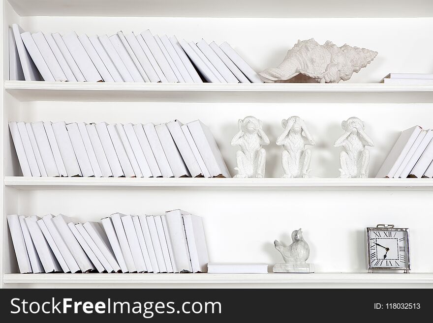The White wooden bookcase with books, seashells and statuettes of monkeys. All white