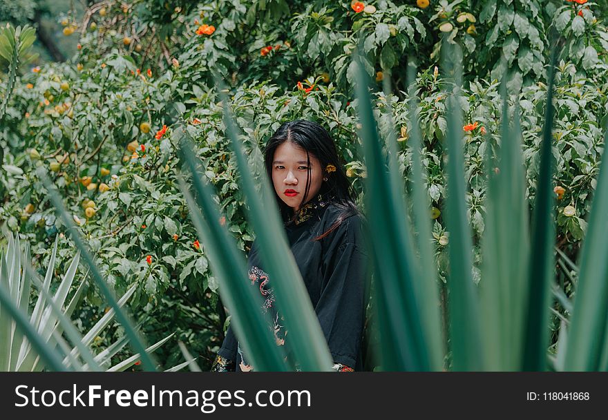 Shallow Focus Photography Of Asian Woman