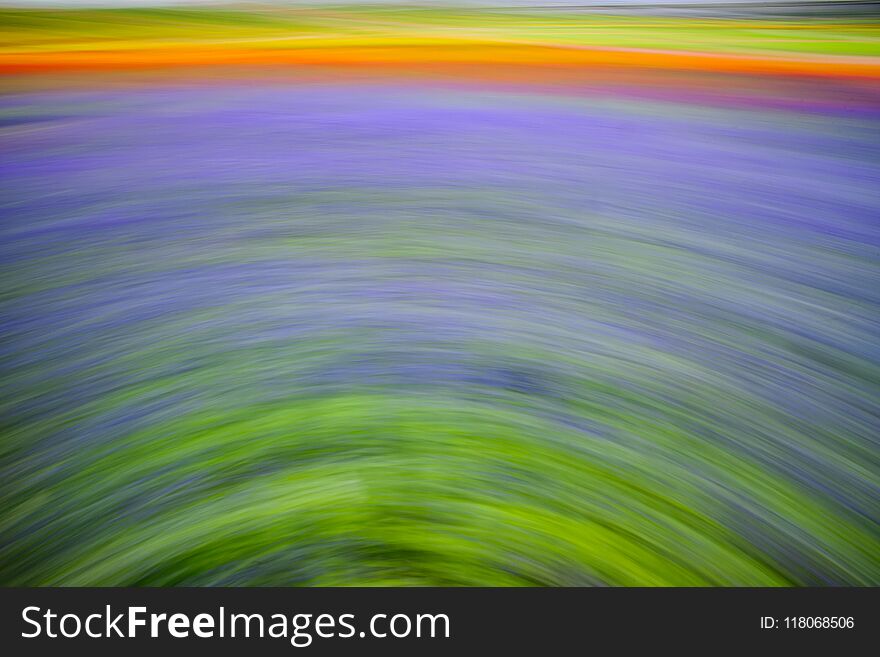 Abstract Motion Blur Colorful Flowers On The Field