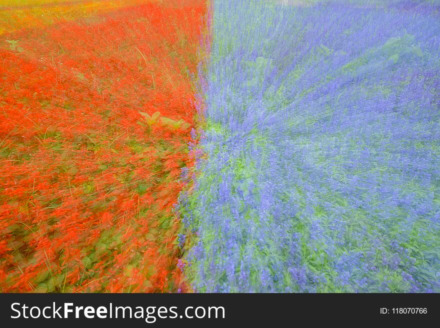 Abstract motion blur colorful flowers on the field