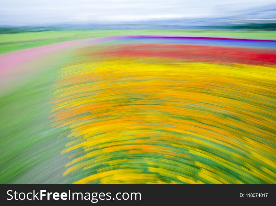 Abstract Motion Blur Colorful Flowers On The Field