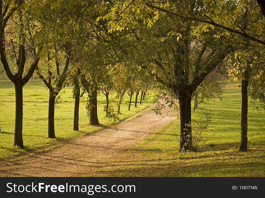 Footpath in the park during autumn season in Villa Pamphili, Rome. Footpath in the park during autumn season in Villa Pamphili, Rome