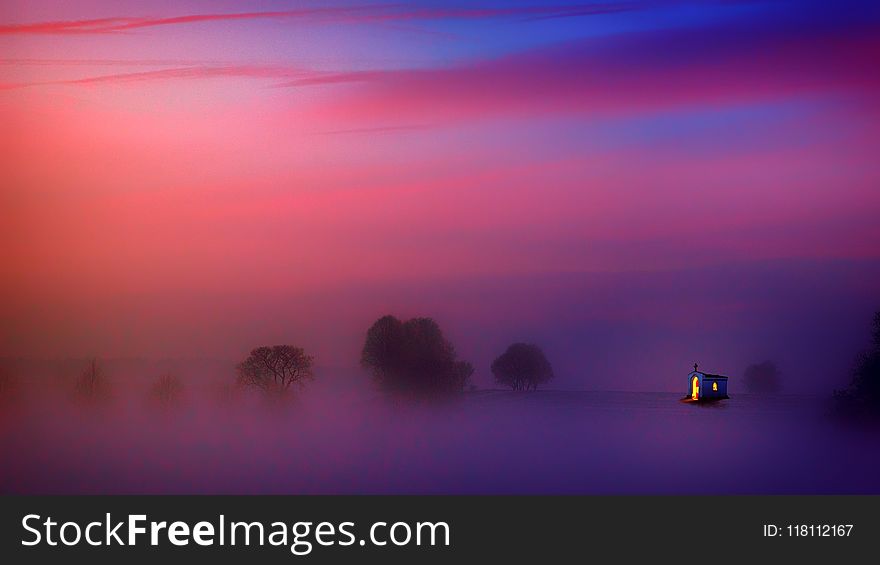 Photography Of Trees Covered With Fog