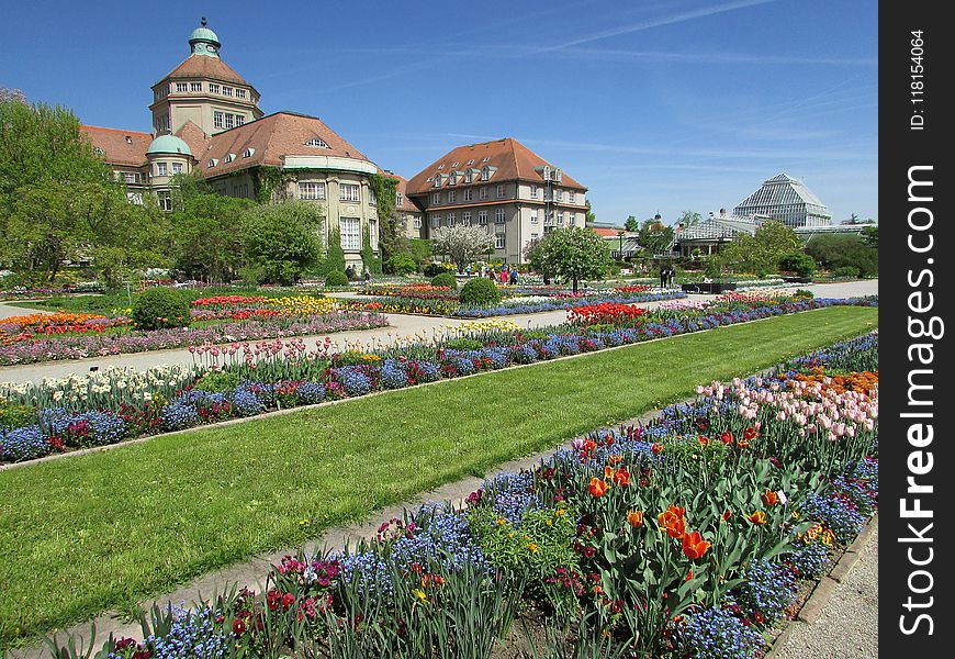 Plant, Garden, Botanical Garden, Flower