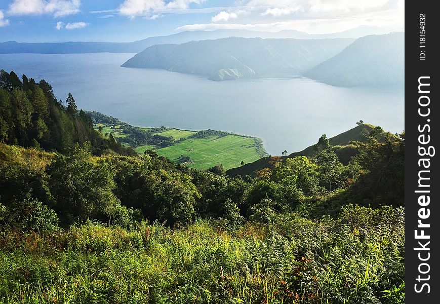 Highland, Vegetation, Nature Reserve, Mount Scenery