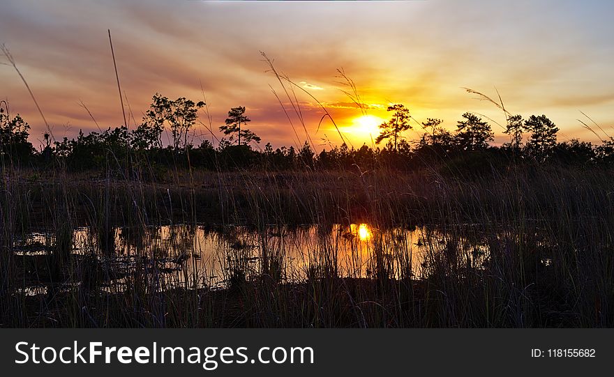 Sky, Reflection, Wetland, Sunset