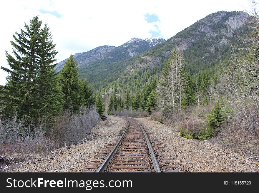 Track, Transport, Wilderness, Path