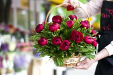 Three Dark Pink Peonies Flowers In A Vase Indoors. Spring Flowers. Beautiful Peonies In A Bouquet. Royalty Free Stock Photo Three Dark Pink Peonies Flowers In A Vase Indoors. Spring Flowers. Beautiful Peonies In A Bouquet. Royalty Free Stock Photo