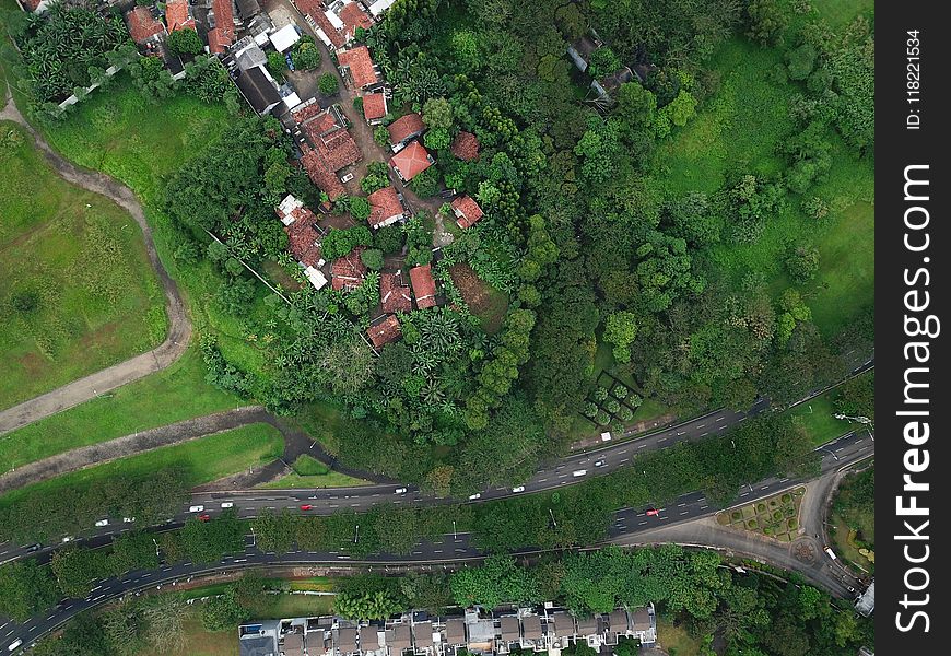 Bird&#x27;s Eye View OfHouses Surrounded By Trees