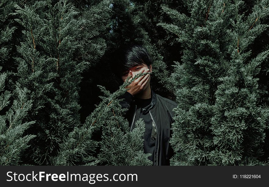 Man Wearing Black Jacket Between Tree