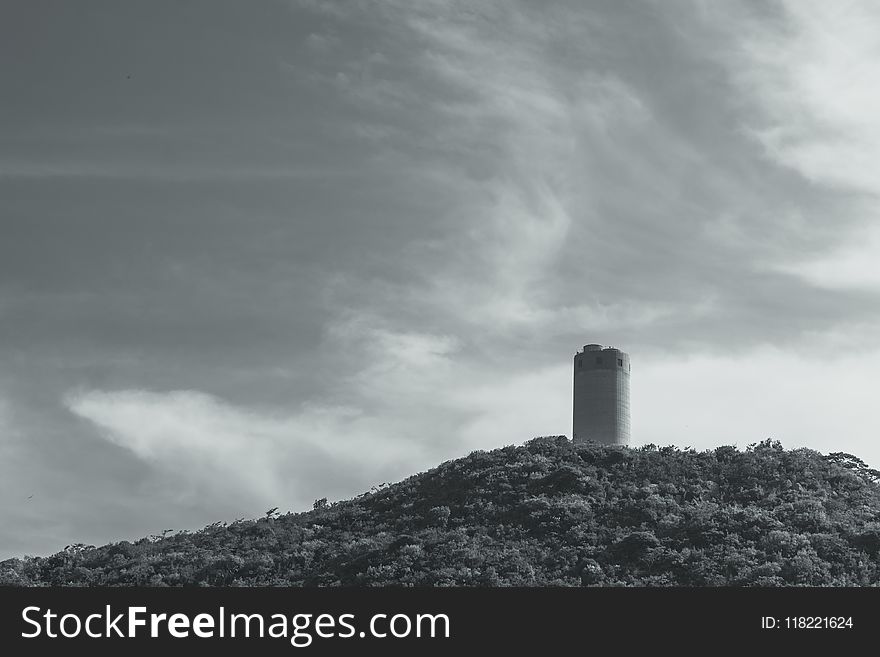Grayscale Photography of Tower Surrounded by Trees