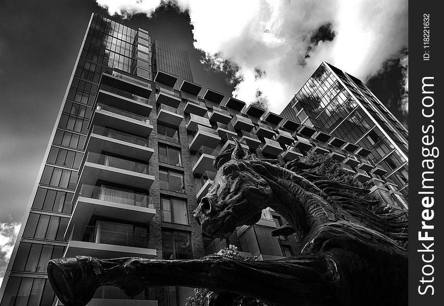 Worm&x27;s Eye View Photography Of Horse And Building