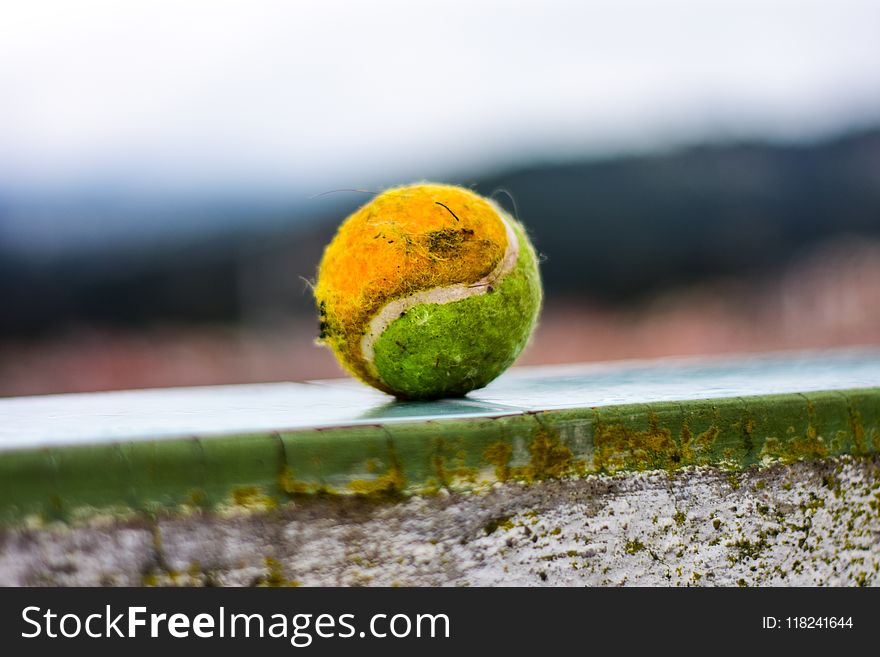 Close Up, Tennis Ball, Orange, Grass