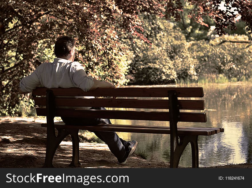 Nature, Photograph, Sitting, Plant