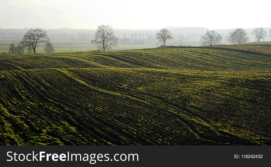 Field, Agriculture, Hill Station, Hill