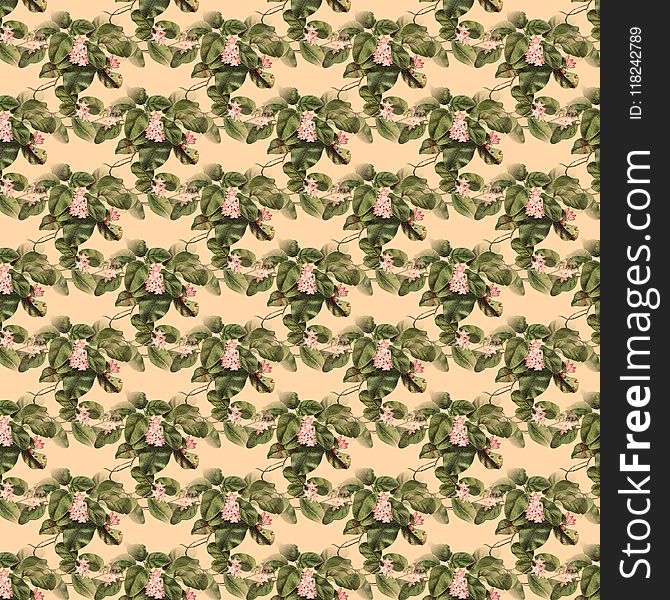 Military Camouflage, Leaf, Pattern, Tree