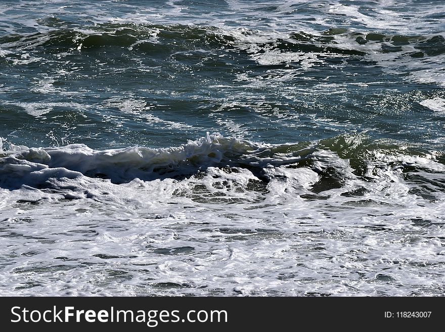 Wave, Sea, Water, Wind Wave