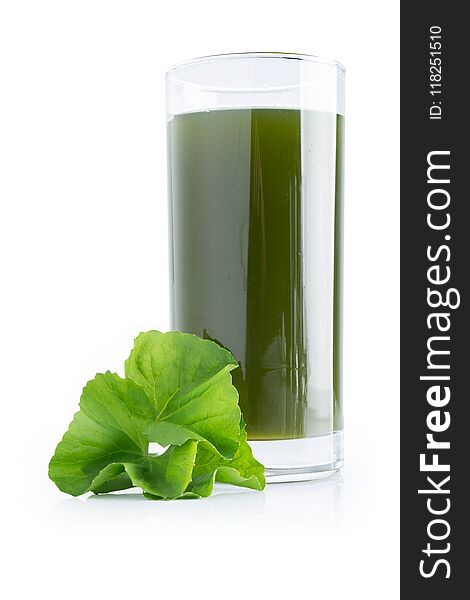 asiatic leaf juice isolated on white background