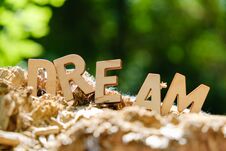 Wooden Letters Spelling Out The Word Dream On Nature Background Concept. Stock Images