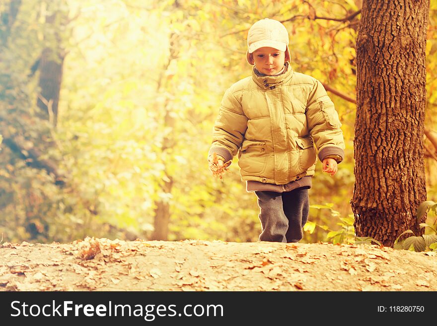 Little boy walking at warm sunny fall day in the park