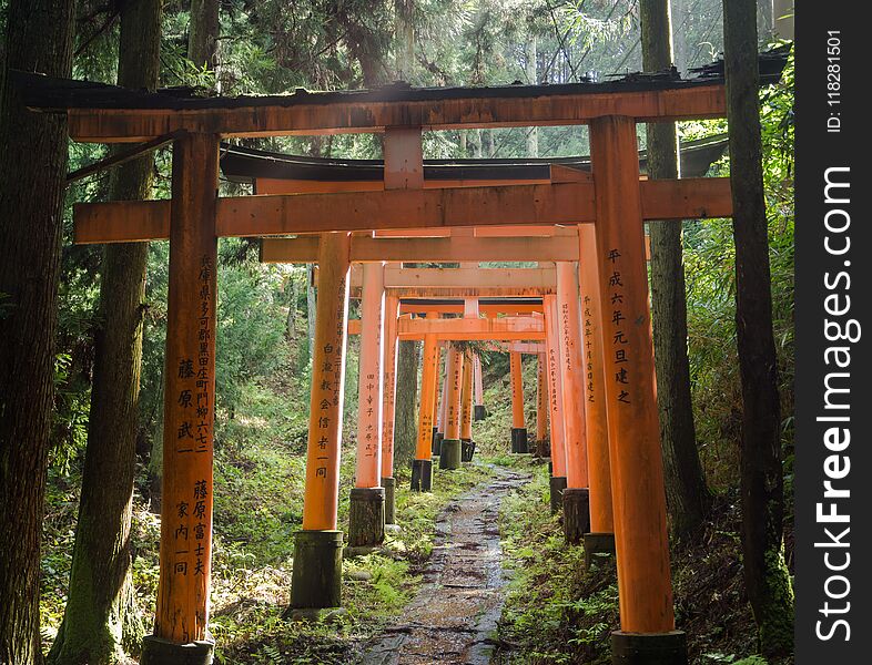 Torii Gate At Fushimi Inari Shrine