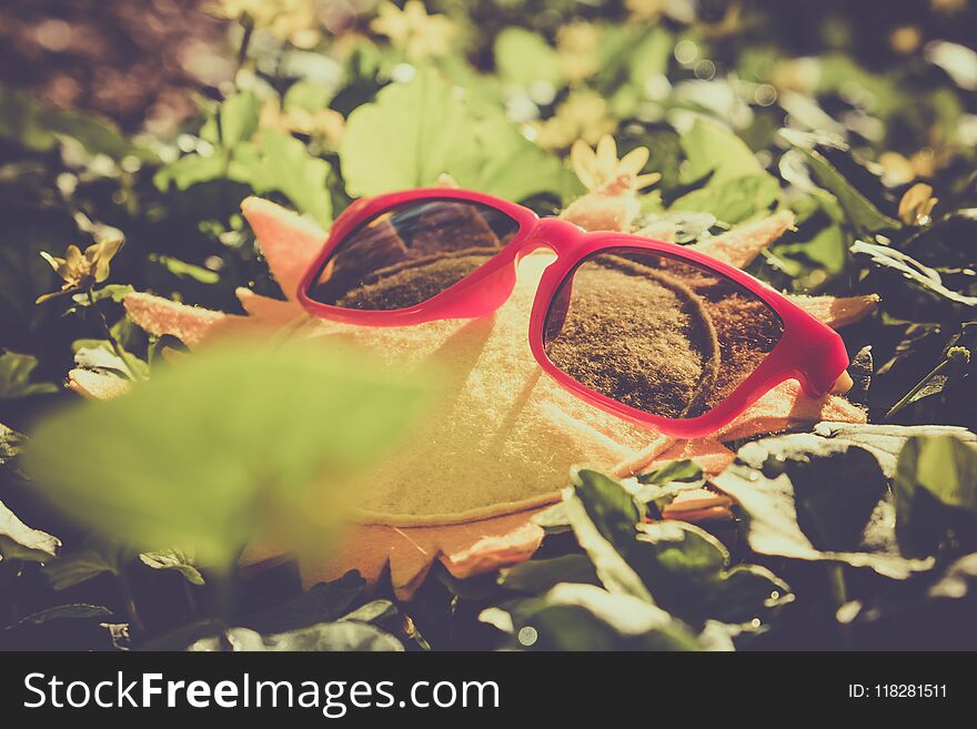 Beach summer travel and rest concept. Sunglasses on a felt toy sun.