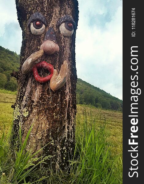 Wisened Tree with a face wants to tell you the secrets of the valley. Wisened Tree with a face wants to tell you the secrets of the valley
