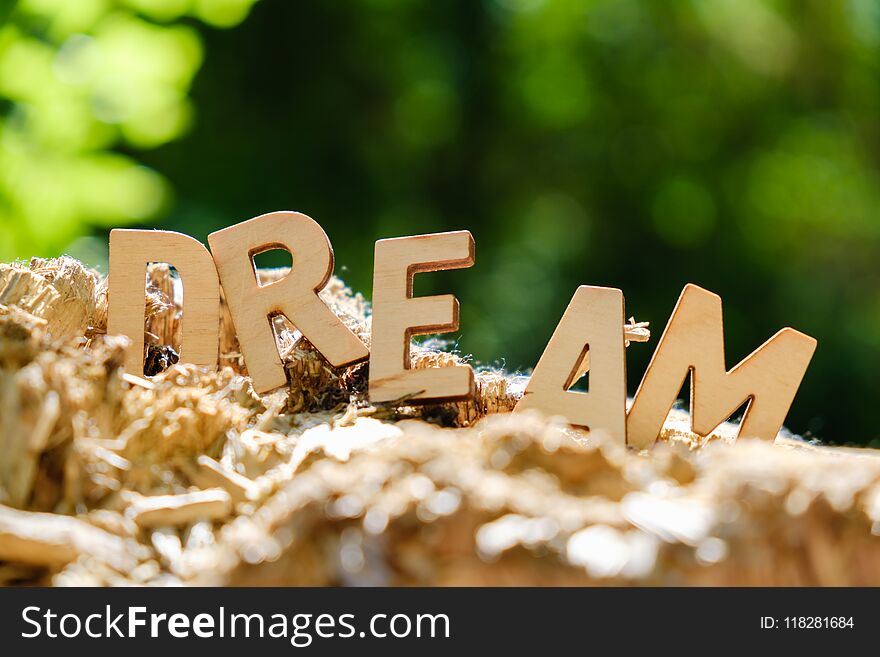 Wooden letters spelling out the word dream on nature background concept.