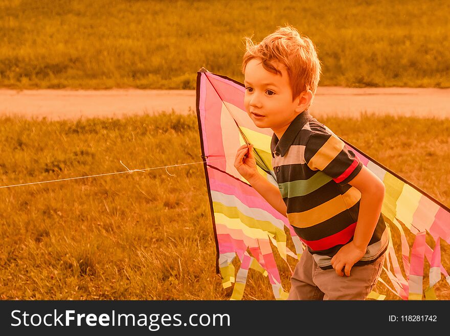 Little boy running with kite in the meadow field on summer day in the park