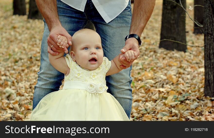 Young Father For A Walk In A Autumn Park With Baby