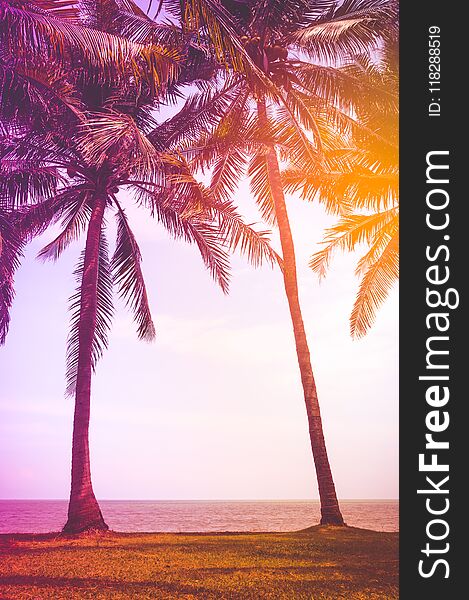 Beautiful tropical scenery with coconut palms on beach. Outdoors at daytime with bright sunlight on summer day. Vintage film filter effect. Image for summer travel concept. Beautiful tropical scenery with coconut palms on beach. Outdoors at daytime with bright sunlight on summer day. Vintage film filter effect. Image for summer travel concept.