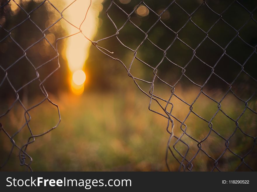 Gray Wire Fence