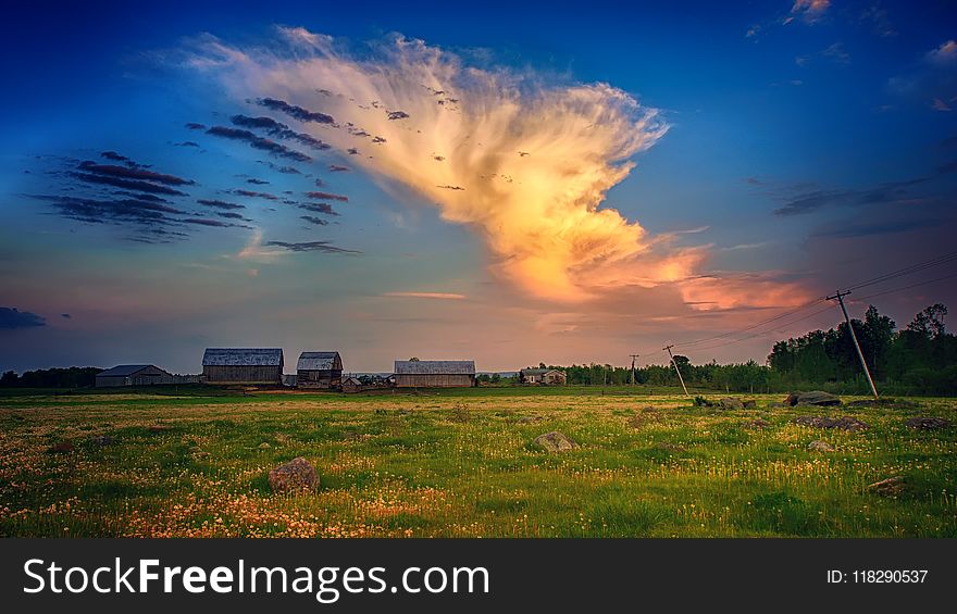 Green Grass Field Under Horizon Photography