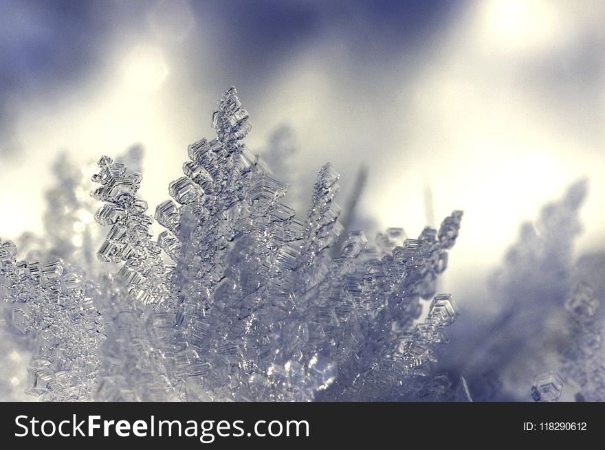 Depth of Field Photography of Ice Shards