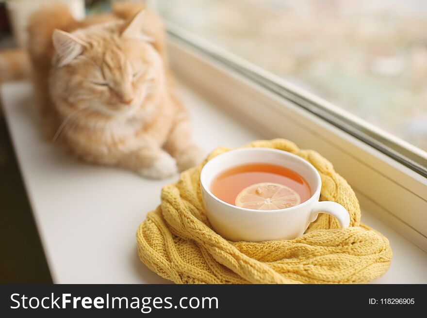 The Red Cat Smells A Hot Cup Of Tea In A Scarf On A Window Sill