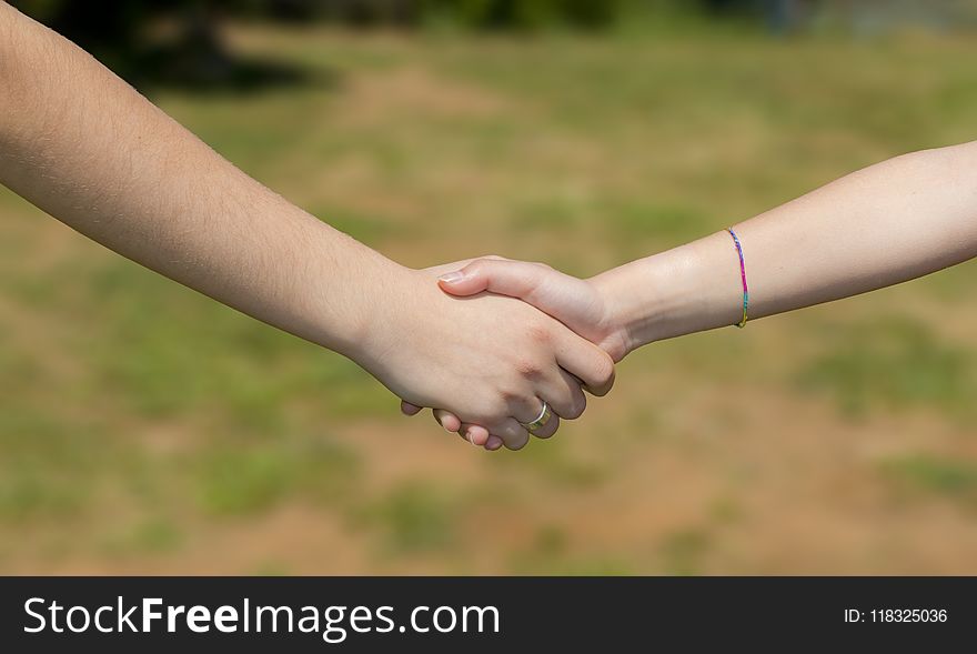 Hand, Finger, Grass, Holding Hands