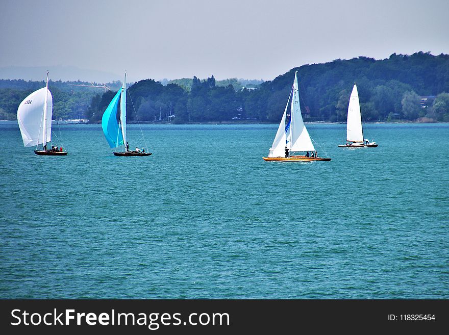 Sail, Sailboat, Water Transportation, Dinghy Sailing