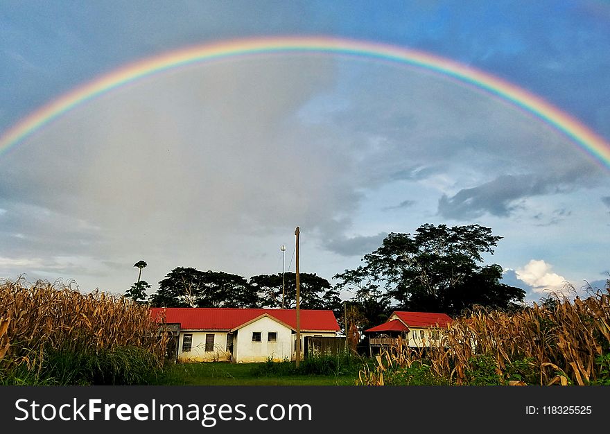 Rainbow, Sky, Field, Cloud