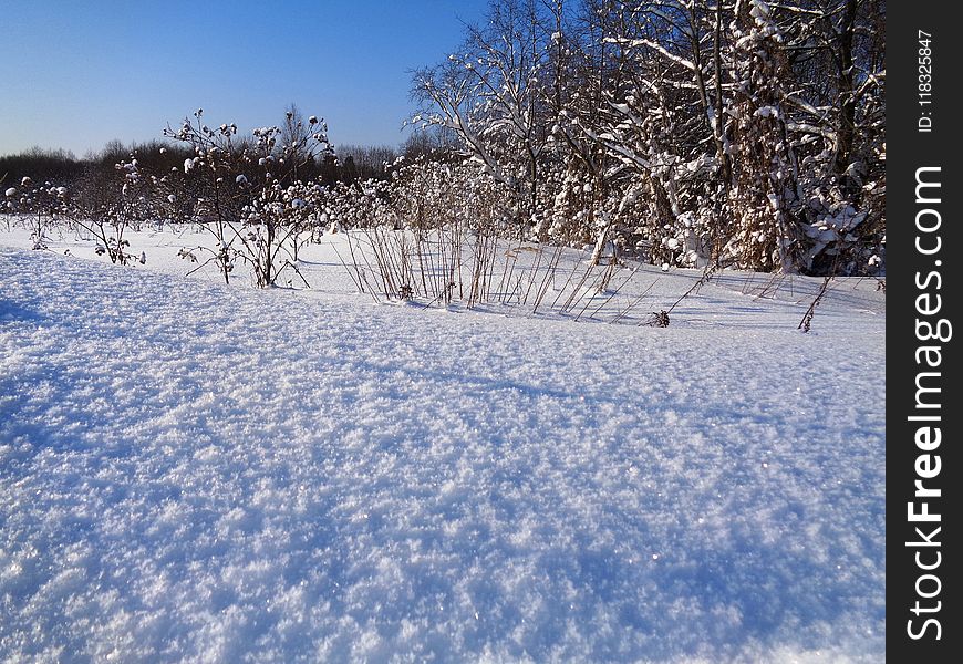 Snow, Winter, Sky, Freezing