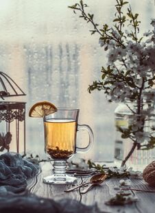 Fresh Green Tea. Tea Cup With Green Tea Leaf On The Wooden Table. Tea With Lemon Stock Photography Fresh Green Tea. Tea Cup With Green Tea Leaf On The Wooden Table. Tea With Lemon Stock Photography