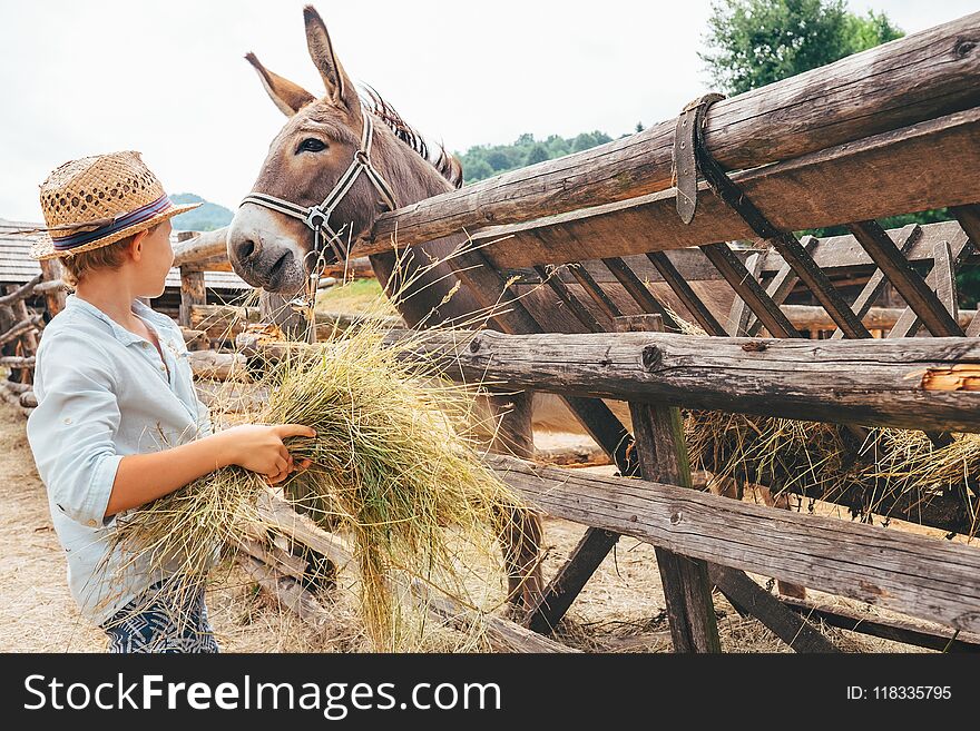 Boy Helps On Farm - Feeds A Donkey