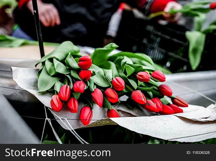 Group of red tulips on table at the market for sale